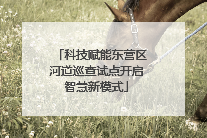 科技赋能东营区河道巡查试点开启智慧新模式