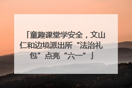 童趣课堂学安全，文山仁和边境派出所“法治礼包”点亮“六一”