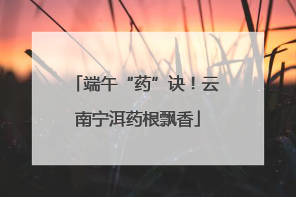 端午“药”诀！云南宁洱药根飘香