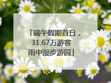 端午假期首日，31.67万游客雨中漫步游园