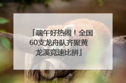 端午好热闹！全国60支龙舟队齐聚黄龙溪竞速比拼