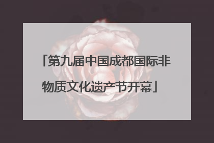 第九届中国成都国际非物质文化遗产节开幕