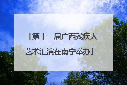 第十一届广西残疾人艺术汇演在南宁举办