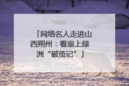 网络名人走进山西朔州：看塞上绿洲“破茧记”