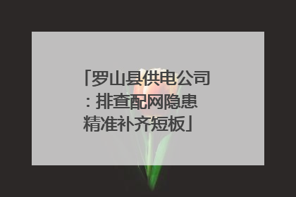 罗山县供电公司：排查配网隐患 精准补齐短板