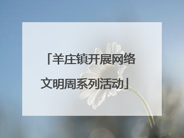 羊庄镇开展网络文明周系列活动