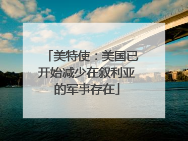 美特使：美国已开始减少在叙利亚的军事存在