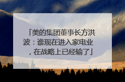 美的集团董事长方洪波：谁现在进入家电业，在战略上已经输了