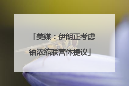 美媒：伊朗正考虑铀浓缩联营体提议
