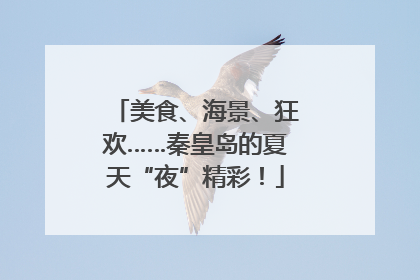 美食、海景、狂欢……秦皇岛的夏天“夜”精彩！