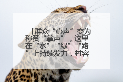 群众“心声”变为称赞“掌声”，这里在“水”“绿”“路”上持续发力，村容村貌焕然一新