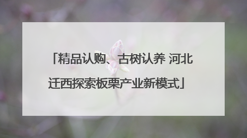 精品认购、古树认养 河北迁西探索板栗产业新模式