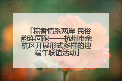 粽香情系两岸 民俗韵连同胞——杭州市余杭区开展形式多样的迎端午联谊活动