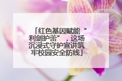 红色基因赋能“利剑护蕾”，这场沉浸式守护宣讲筑牢校园安全防线