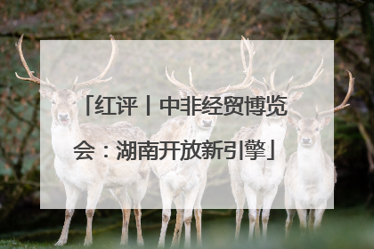 红评丨中非经贸博览会：湖南开放新引擎