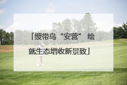 绶带鸟“安营” 绘就生态增收新景致