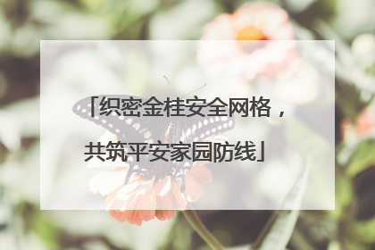 织密金桂安全网格，共筑平安家园防线