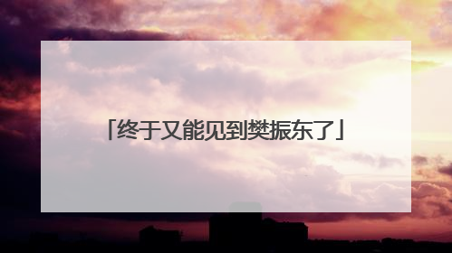 终于又能见到樊振东了