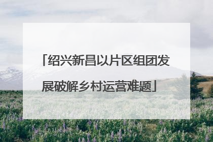 绍兴新昌以片区组团发展破解乡村运营难题