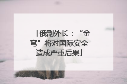 俄副外长：“金穹”将对国际安全造成严重后果
