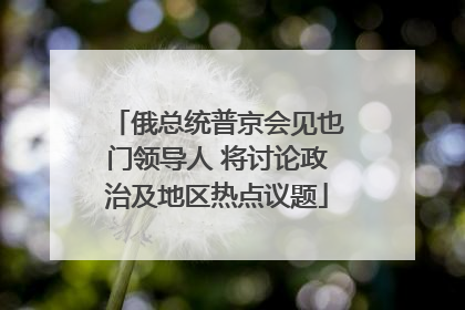 俄总统普京会见也门领导人 将讨论政治及地区热点议题