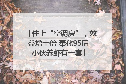 住上“空调房”，效益增十倍 奉化95后小伙养虾有一套