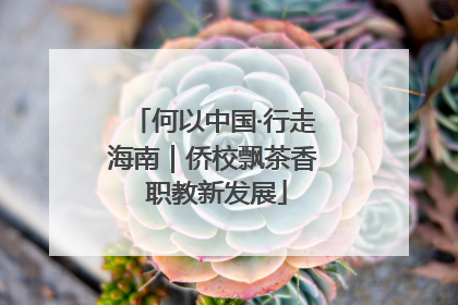 何以中国·行走海南｜侨校飘茶香 职教新发展