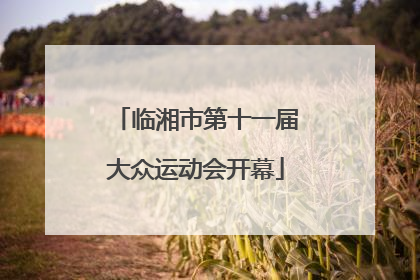 临湘市第十一届大众运动会开幕
