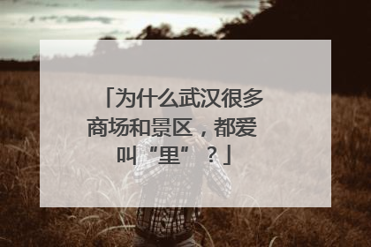 为什么武汉很多商场和景区，都爱叫“里”？