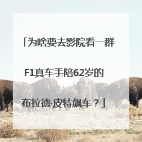 为啥要去影院看一群F1真车手陪62岁的布拉德·皮特飙车？