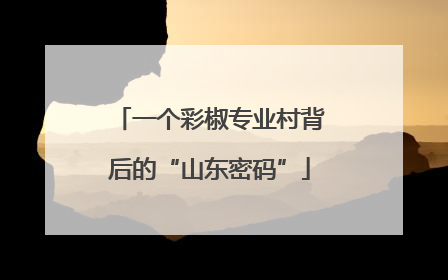 一个彩椒专业村背后的“山东密码”