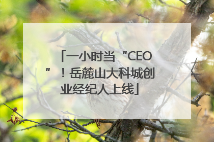 一小时当“CEO”！岳麓山大科城创业经纪人上线