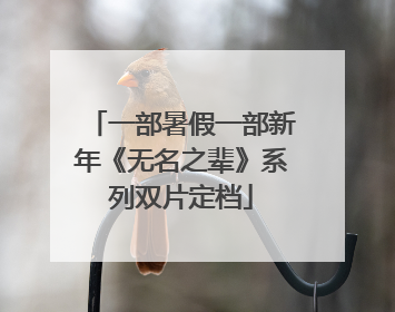 一部暑假一部新年《无名之辈》系列双片定档