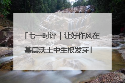 七一时评｜让好作风在基层沃土中生根发芽