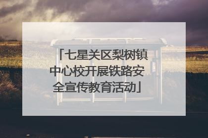 七星关区梨树镇中心校开展铁路安全宣传教育活动