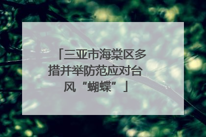 三亚市海棠区多措并举防范应对台风“蝴蝶”