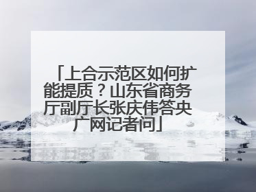 上合示范区如何扩能提质？山东省商务厅副厅长张庆伟答央广网记者问