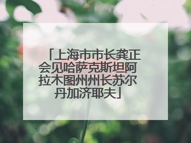 上海市市长龚正会见哈萨克斯坦阿拉木图州州长苏尔丹加济耶夫