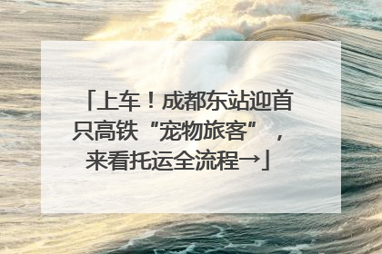 上车！成都东站迎首只高铁“宠物旅客”，来看托运全流程→