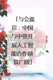 与会嘉宾：中国与中亚开展人工智能合作前景广阔