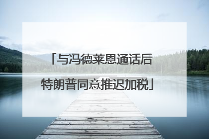 与冯德莱恩通话后 特朗普同意推迟加税