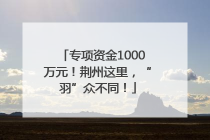 专项资金1000万元！荆州这里，“羽”众不同！