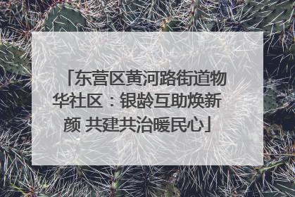 东营区黄河路街道物华社区：银龄互助焕新颜 共建共治暖民心