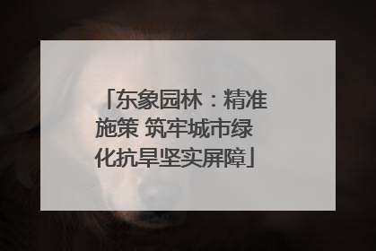 东象园林：精准施策 筑牢城市绿化抗旱坚实屏障