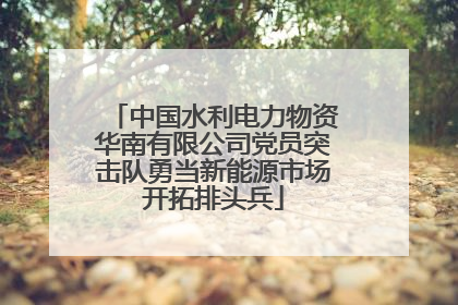 中国水利电力物资华南有限公司党员突击队勇当新能源市场开拓排头兵