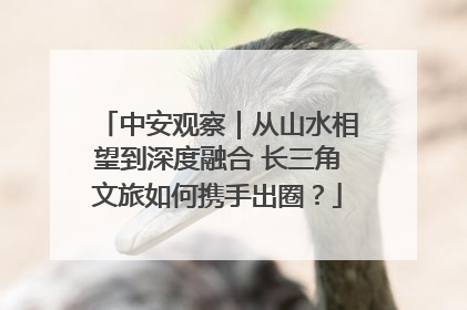 中安观察｜从山水相望到深度融合 长三角文旅如何携手出圈？