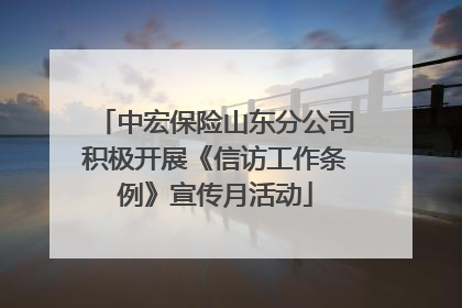 中宏保险山东分公司积极开展《信访工作条例》宣传月活动