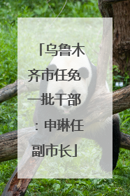 乌鲁木齐市任免一批干部：申琳任副市长