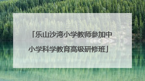 乐山沙湾小学教师参加中小学科学教育高级研修班