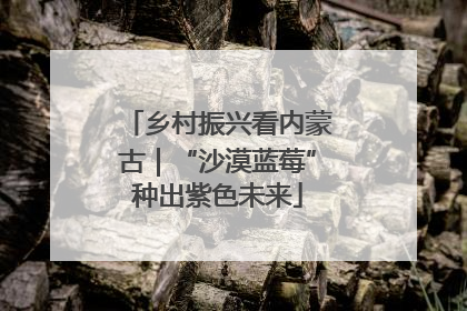 乡村振兴看内蒙古｜“沙漠蓝莓”种出紫色未来